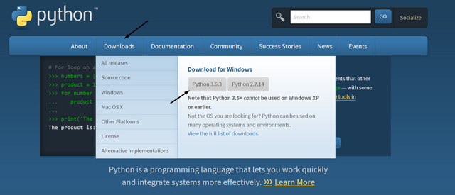 pythonindirme2.png