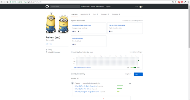 Github Profile