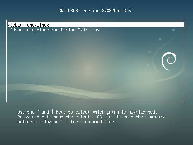 cara-install-debian9-stretch-step28.png