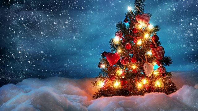 tree_new_year_christmas_snow_holiday_night_garland_36467_1920x1080.jpg