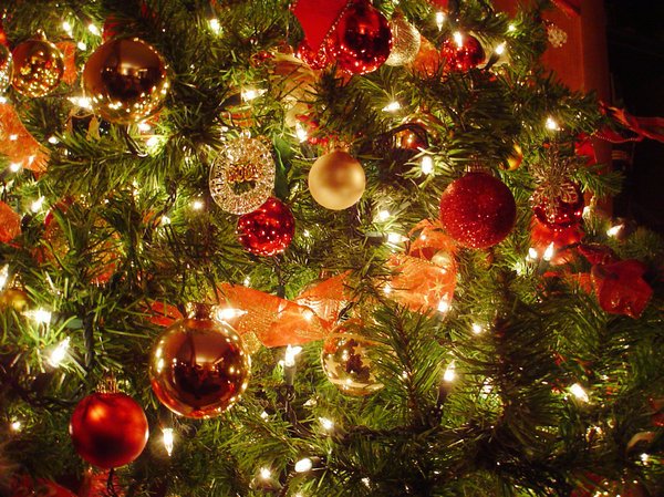 How did the tradition of the Christmas tree originate? — Steemit