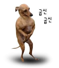 굽신.jpg