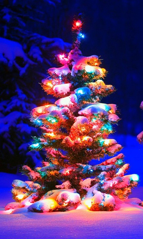 snowy_christmas_tree_lights-480x800.jpg