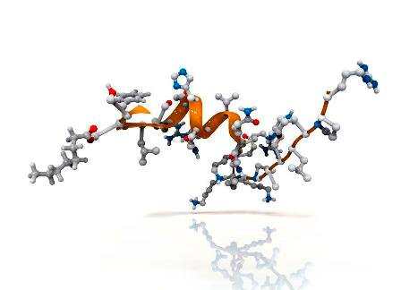 2-activated-ghrelin-hormone-molecule-science-photo-library.jpg