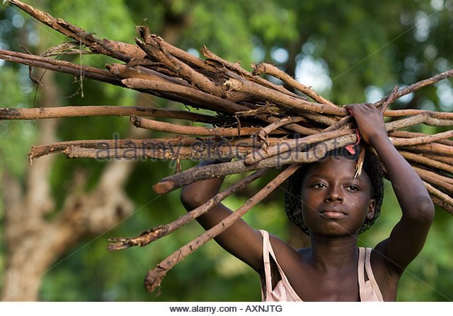 a-girl-carries-firewood-on-her-head-ghana-africa-axnjtg.jpg