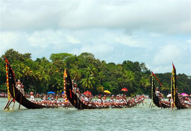 135-Kerala Snake Boat Race .jpg