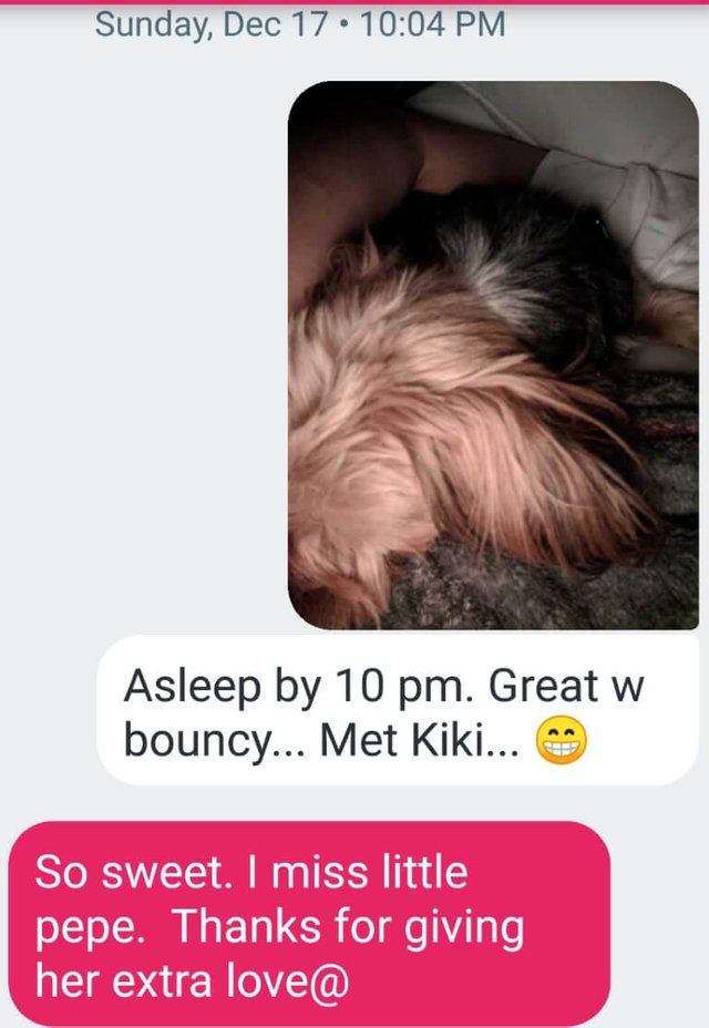 text dog 1.jpg