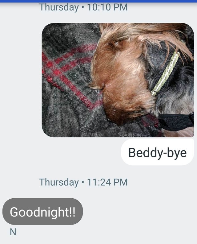 text dog 11.jpg