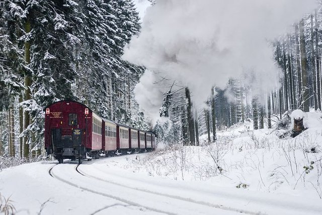 harzer-schmalspuhrbahn-3024506__480.jpg