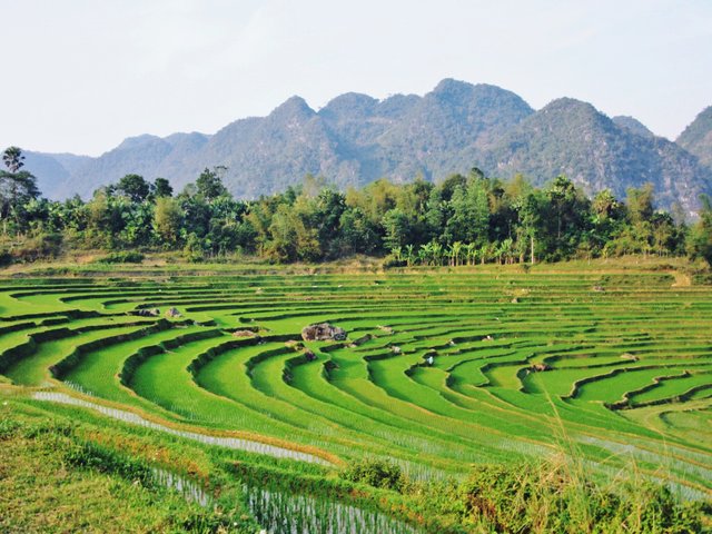 Ninh Binh countryside, Vietnam