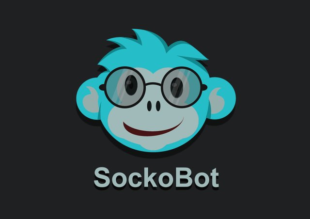 sockobot cover.jpg