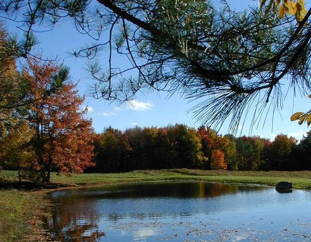 landscapephotography homestead pond country.jpg