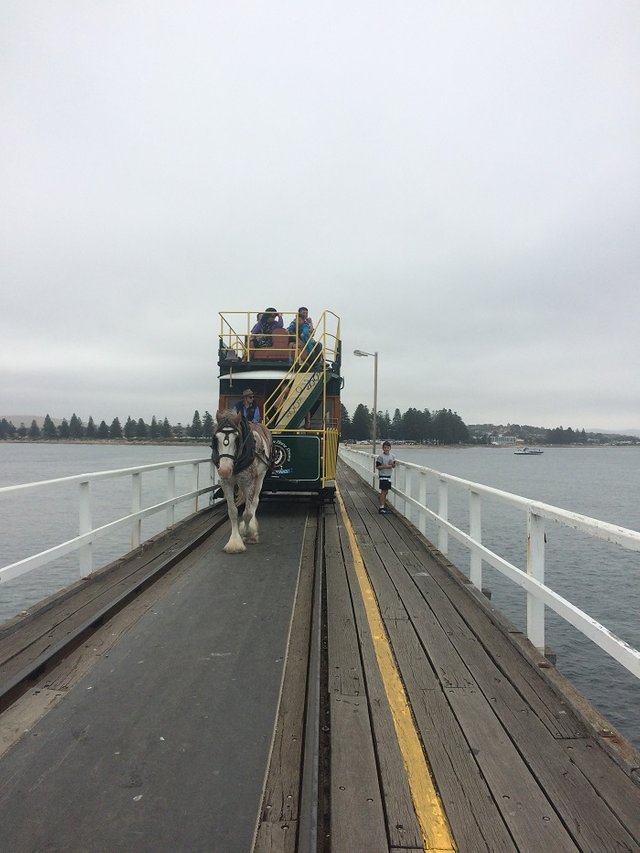 Victor Harbour - Tram on Causeway.jpg