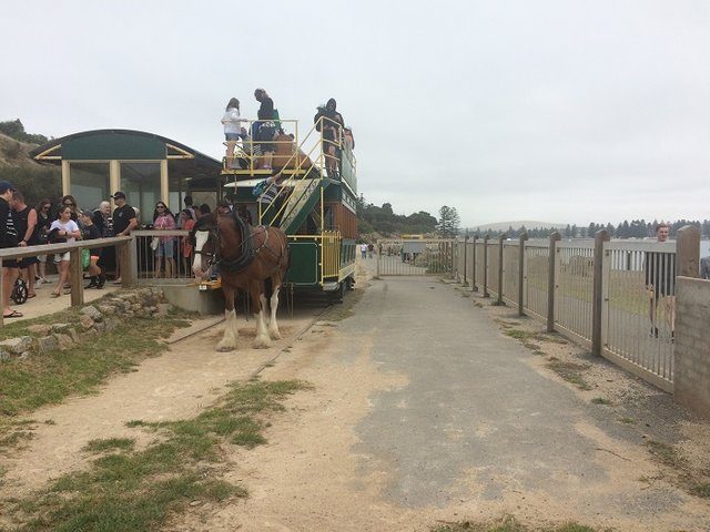 Victor Harbour - Tram at Granite Island stop.jpg