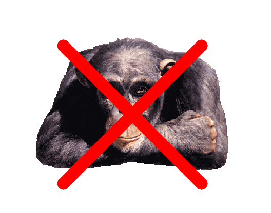 no monkey.PNG