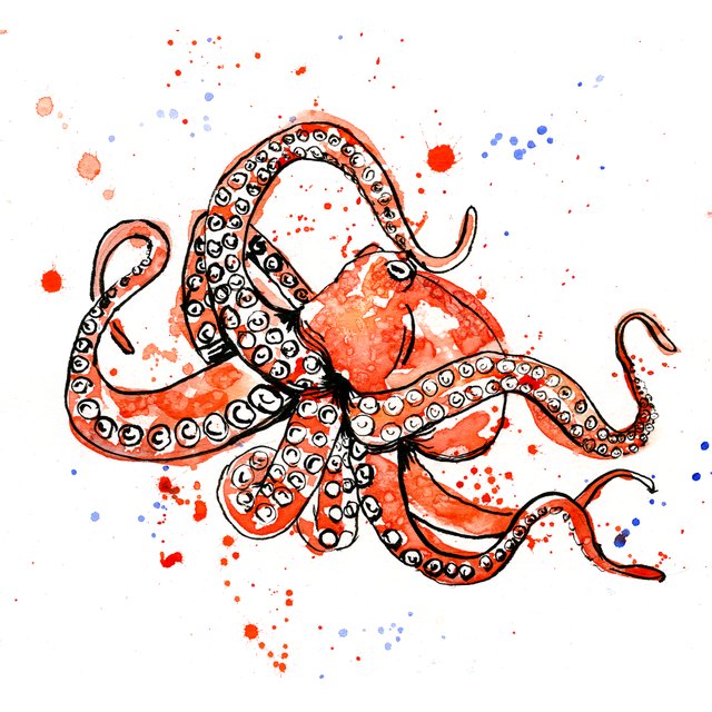 Octopus I.jpg