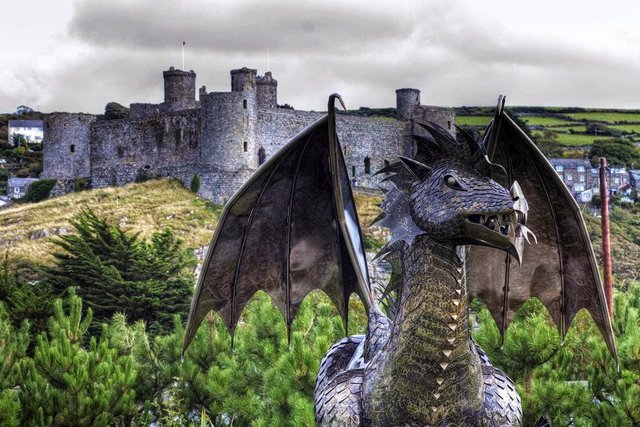 dewi-dragon-harlech-ddraig-goch-1.jpg