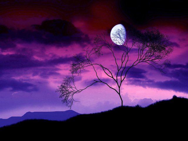 landscapes-sunset-skies-moonlight-moon-trees.jpg