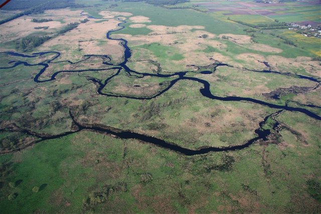 Narew.jpg