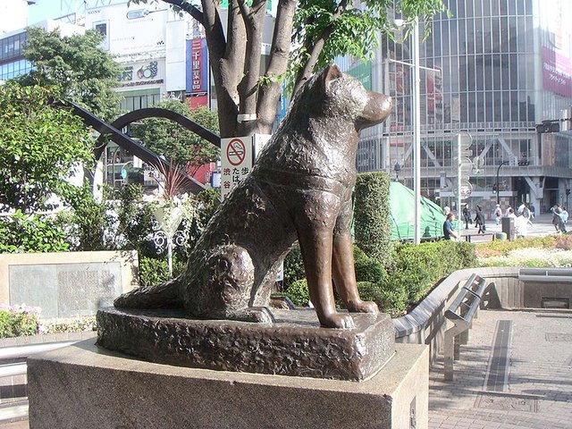 hachi-statue.jpg