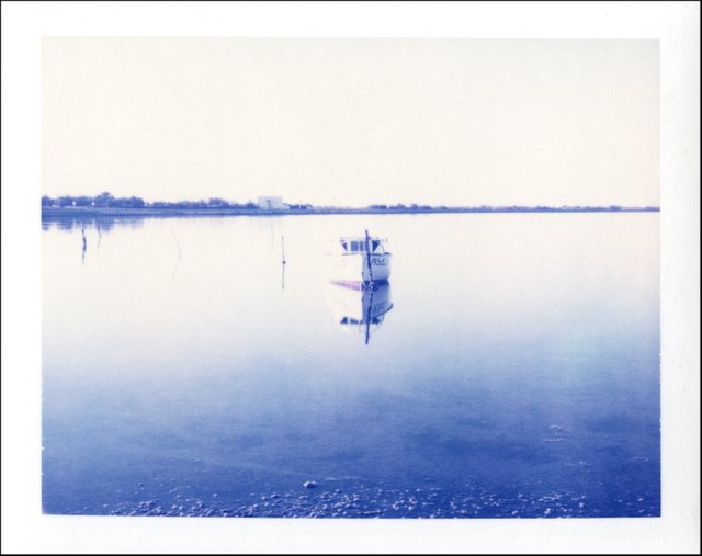 polaroid032.jpg