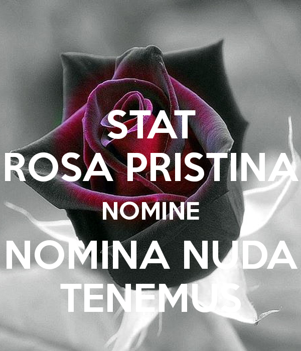 stat-rosa-pristina-nomine-nomina-nuda-tenemus.png