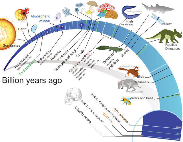 Timeline_evolution_of_life_svg.png