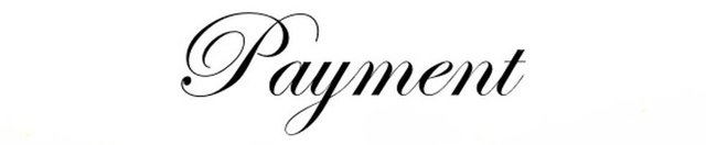 payment-options-banner_large.jpg