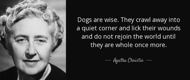 quote-dogs-are-wise-they-crawl-away-into-a-quiet-corner-and-lick-their-wounds-and-do-not-rejoin-agatha-christie-5-57-50.jpg