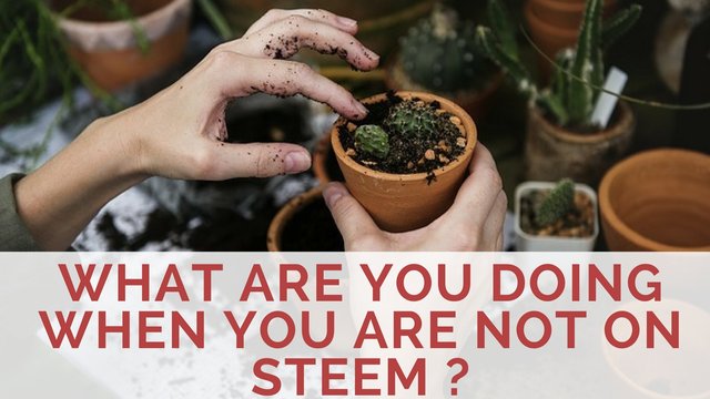 What are you doing when you are not on steem ?.jpg