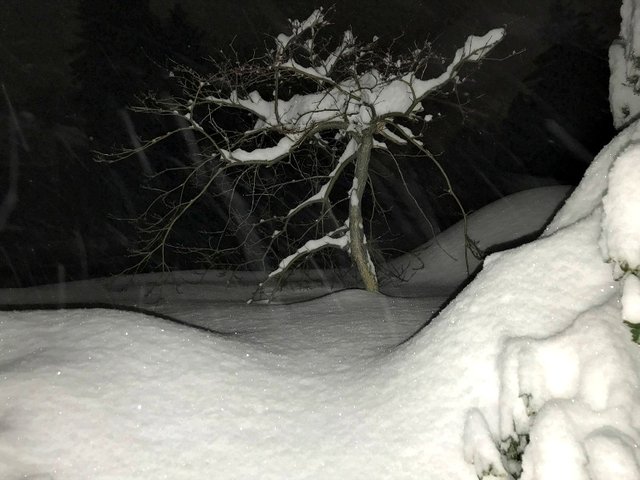smartphonephotography nature winter snow sunscape 1.jpg