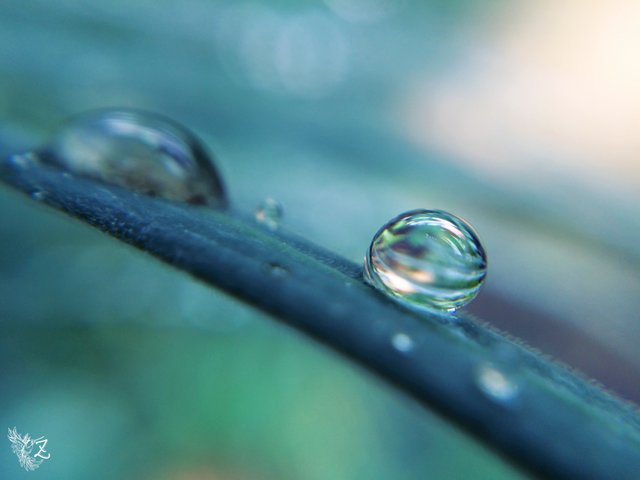 raindrop-stripe-1.jpg