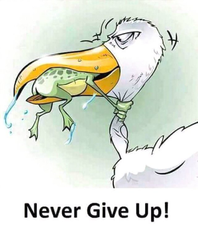 Never Ever Give Up...! — Steemit