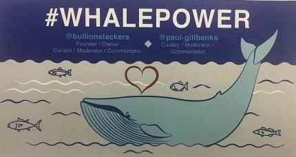 whale 1.jpg