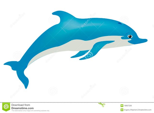 whale 2.jpg