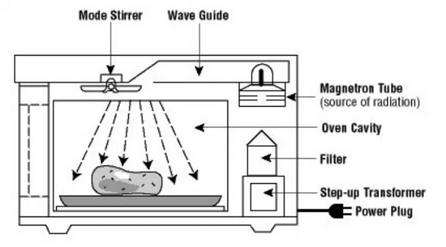 Danger in the microwave oven? — Steemit