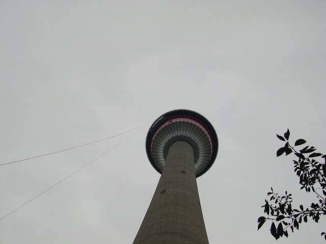 Calgary - tower - Copy.jpg