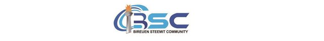 Steemit Bireuen Logo Bottom.jpg