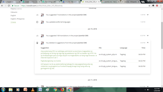 translation screenshoot.png