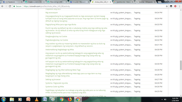 translation screenshoot 2.1.png