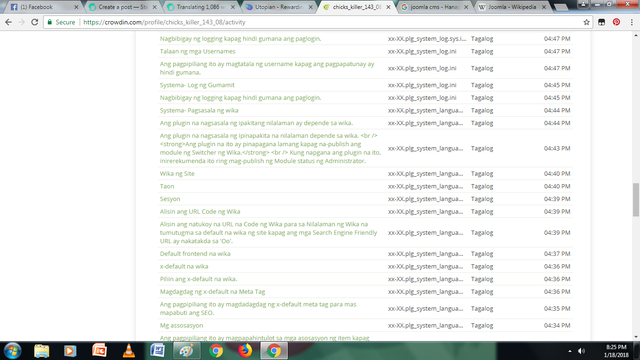 translation screenshoot 2.2.png