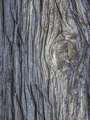 wood.png