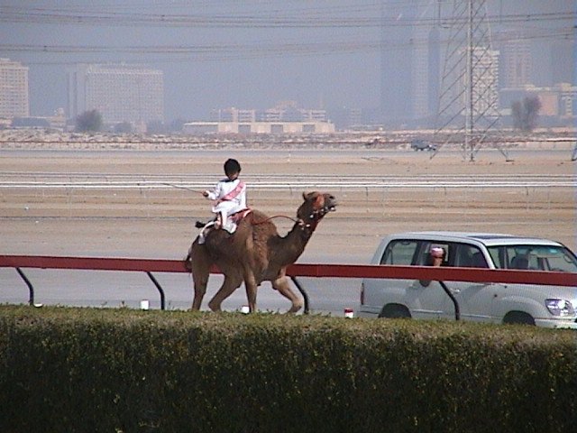 Dubai141.JPG