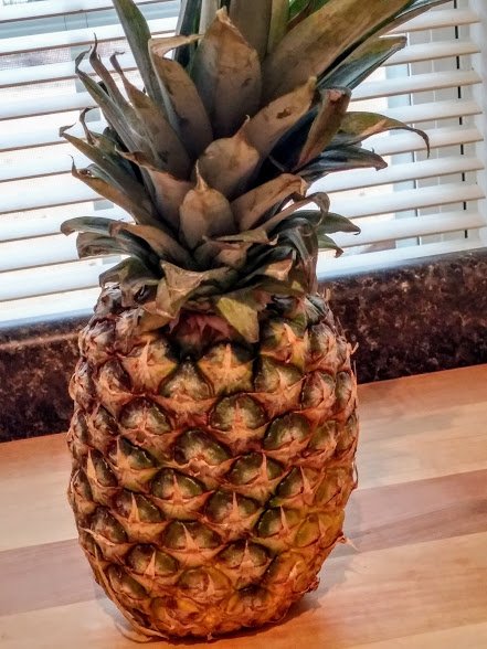 Pineapple in Waiting.jpg