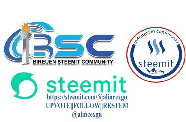 Pip Monitoring Application Aplikasi Monitoring Pip Bilingual Steemit