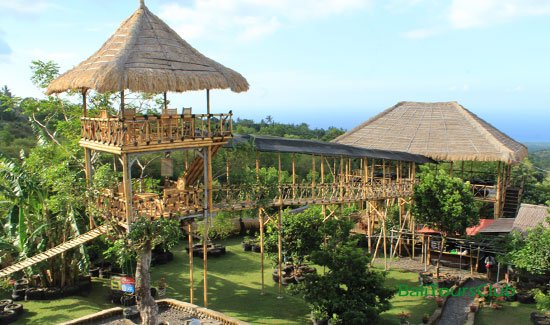 Get Rumah Intaran Bali Background