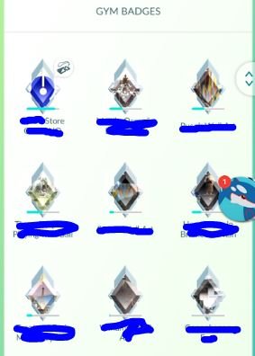 ex-raid badges.JPG