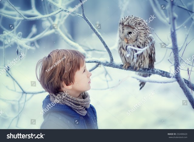 zA cute young boy in a warm knitted clothes looking at the owl sitting on the branch covered with..jpg