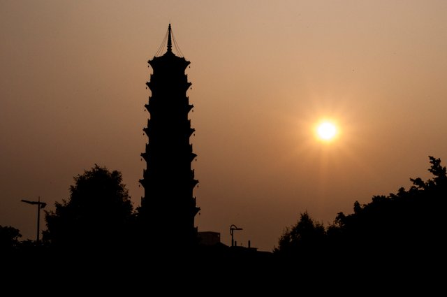 pagoda low sun.jpg
