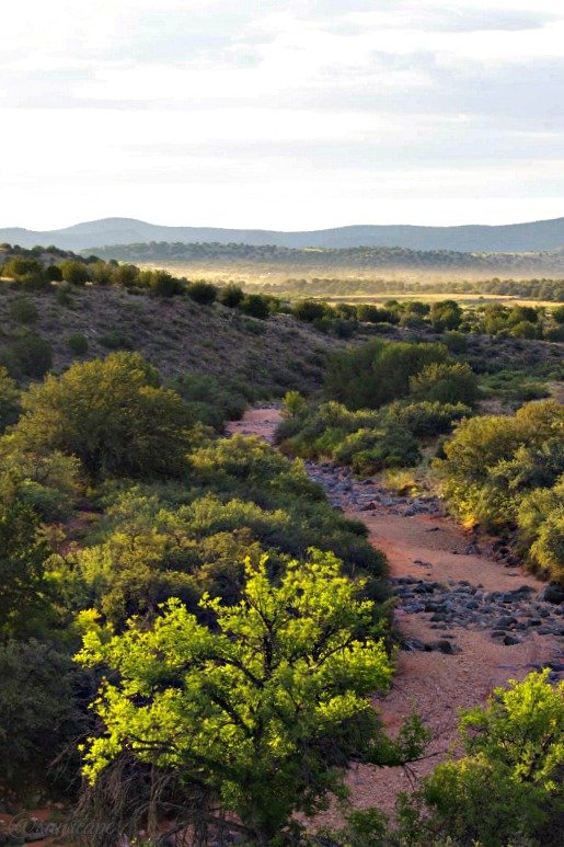 lamdscapephotography travel sedona desert .jpg